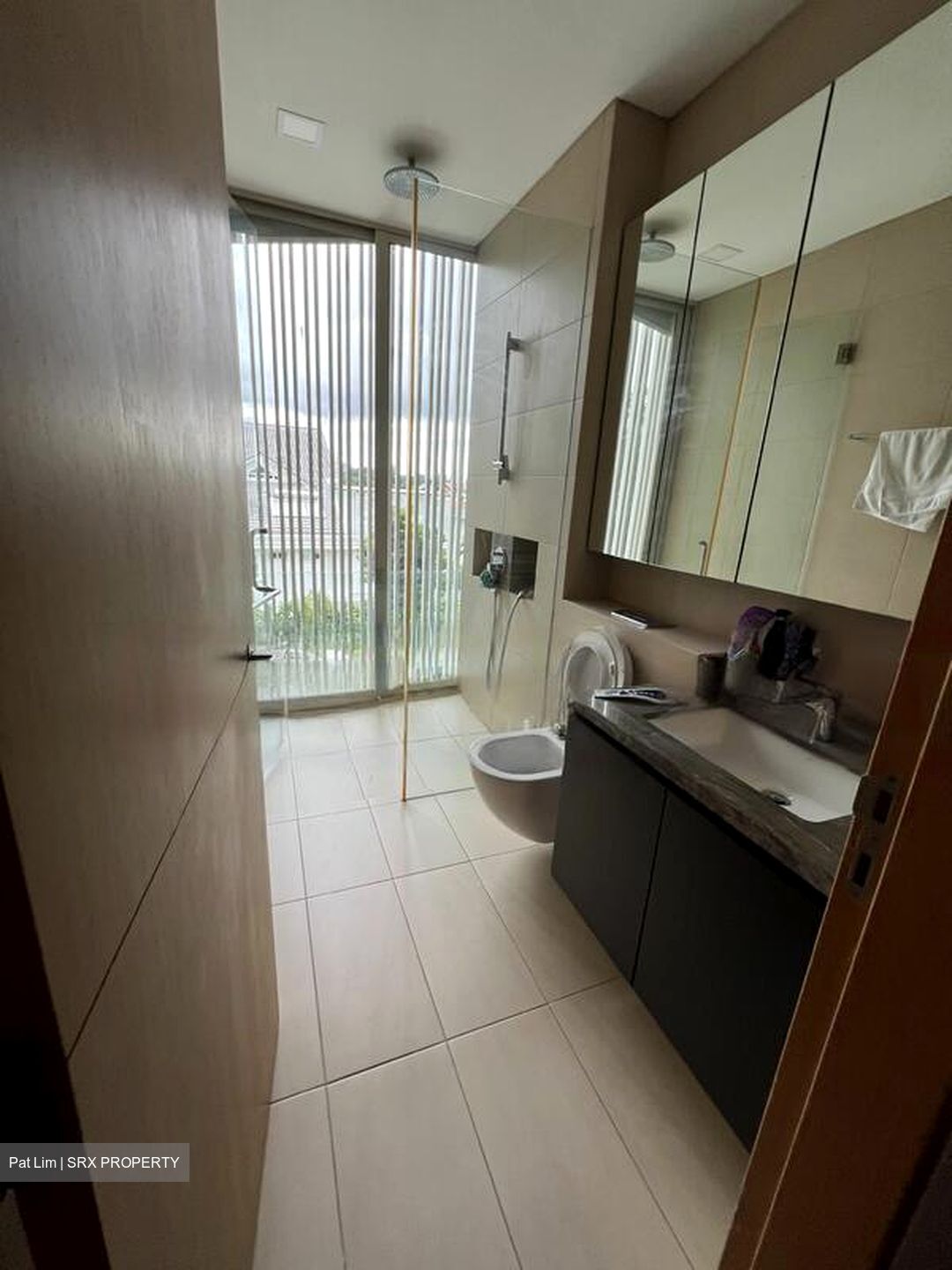 Raffles Park (D11), Detached #453038811